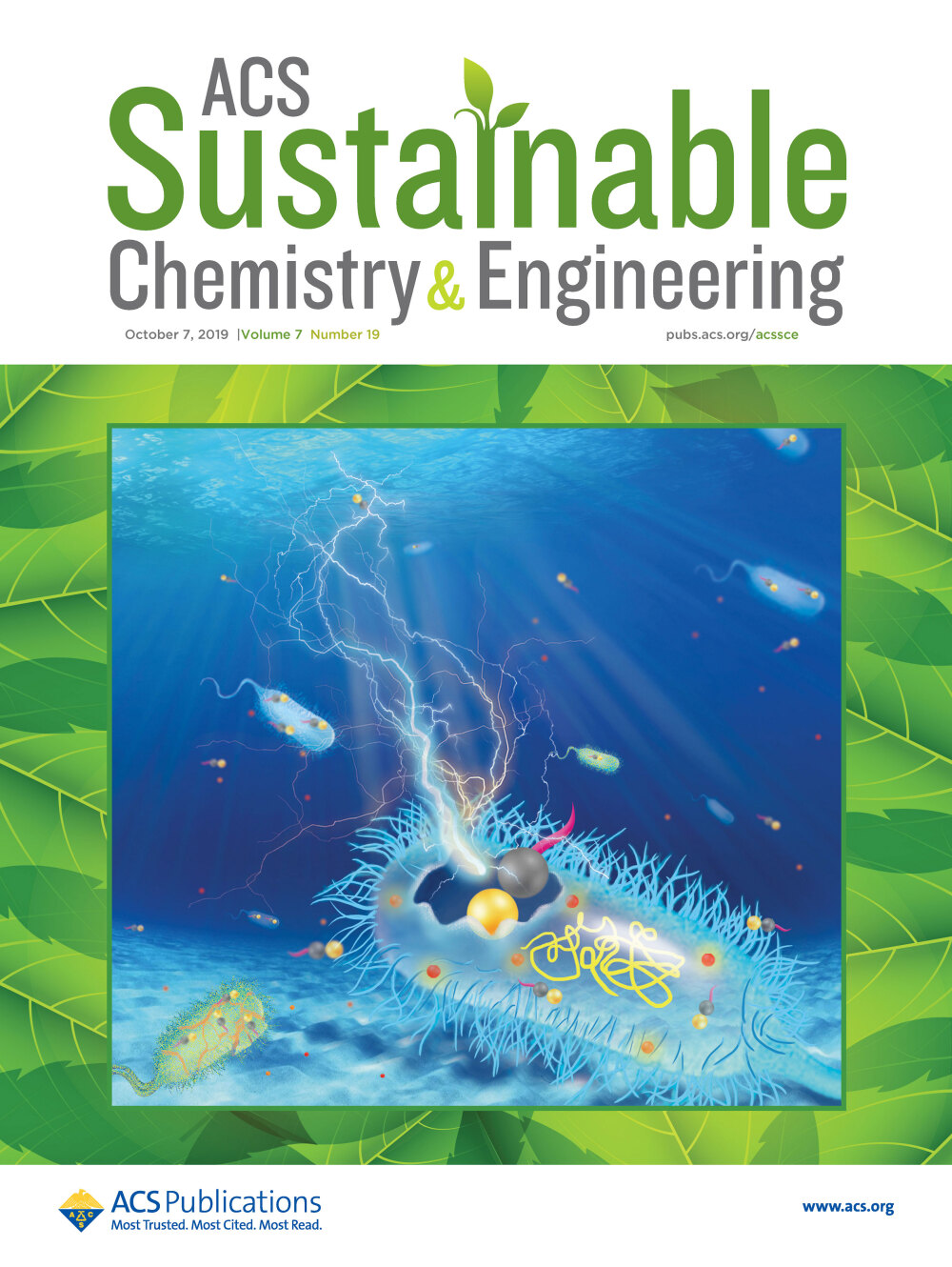 堆糖上的科研美图 陕西科大与ACS Sustainable Chem. Eng.插画的艺术魅力